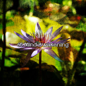 อัลบัม 65 Mind Awakening ศิลปิน Lullabies for Deep Meditation