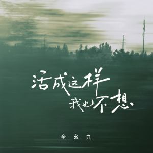 Album 活成这样我也不想 from 全幺九