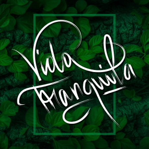 ดาวน์โหลดและฟังเพลง Vida Tranquila พร้อมเนื้อเพลงจาก Adeziobeats