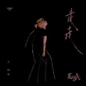 Album 夏日少年气2.0 oleh 王晨艺
