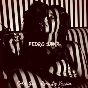 Pedro Samp的專輯Cold Gun (Acoustic)