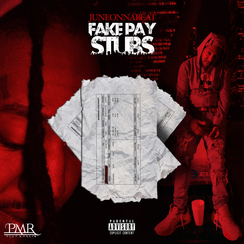 Fake Pay Stubs (Explicit)