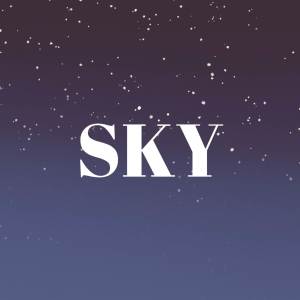 Listen to SKY song with lyrics from Lo-fi 2307