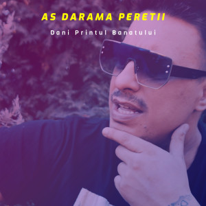 收听Dani Printul Banatului的As Darama Peretii歌词歌曲