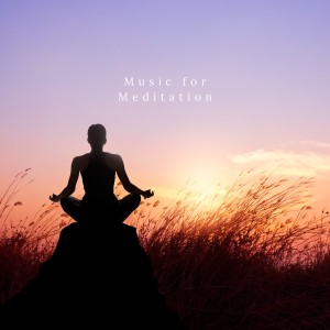 Album Music for Meditation from Massage Music Sessions