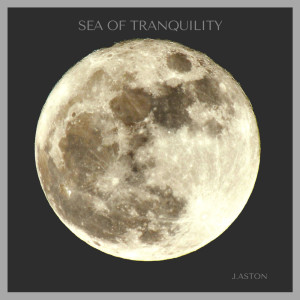 Dengarkan lagu Sea Of Tranquility nyanyian Julius Aston dengan lirik