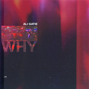 收聽Ali Gatie的Why (Explicit)歌詞歌曲
