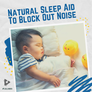 Album Natural Sleep Aid To Block Out Noise from #Lullabies