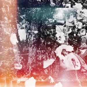 Raayo的專輯the trees, they lie