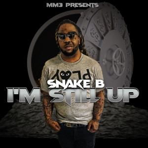 Album I'm Still Up (Explicit) from Snake B