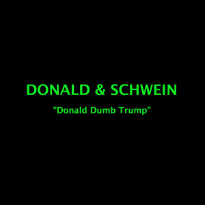 收聽Donald and Schwein的Donald Dumb Trump歌詞歌曲
