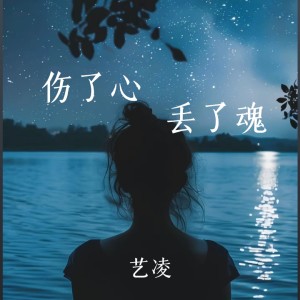 Album 伤了心丢了魂 from 小小杨玉莹