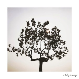 Album 一触即碎的生活 from 杨旭凯