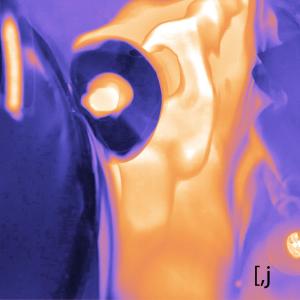 Listen to These dinosaurs, why? song with lyrics from [,j