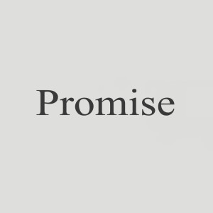 IMTWO的专辑Promise