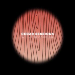 收聽Cedar Sessions的Every Nation / With Everything / Spontaneous (feat. Israel Lopez Media & Hannah Joy) (Live)歌詞歌曲