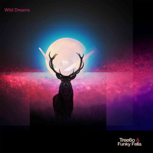 Listen to Wild Dreams song with lyrics from Tree60
