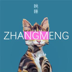 Listen to Wan Shui (Ban Zou) (伴奏) song with lyrics from 张萌