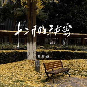 收聽蘇星婕的十二月的祕密 (完整版)歌詞歌曲