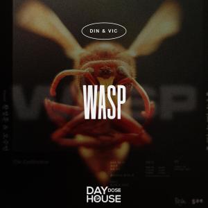 Listen to Wasp song with lyrics from Din & Vic