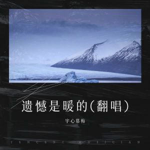 Listen to 遗憾是暖的 (cover: 段奥娟) (完整版) song with lyrics from 宇心慕梅