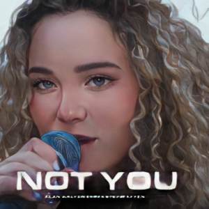 Listen to Not You (Remix) song with lyrics from Abg Music