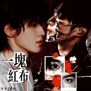 Album 一块红布 from 