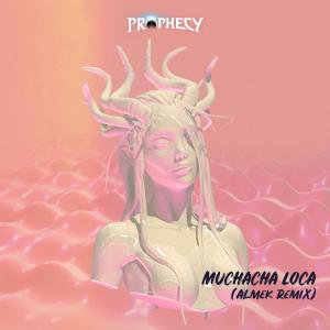 Album Muchacha Loca - Almek Remix from Los Tiburones