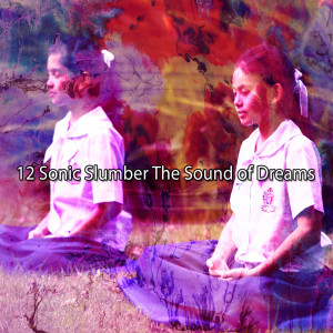 Binaural Beats Brain Waves Isochronic Tones Brain Wave Entrainment的專輯12 Sonic Slumber The Sound of Dreams