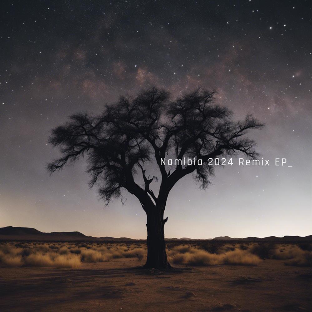 Namibia 2024 (feat. Edward Fox & the Animal Kingdom) (Vocal Remix)