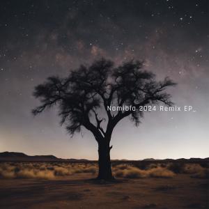 Essex的專輯Namibia 2024 Remix EP