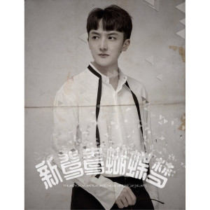 收聽古亞鵬的新鴛鴦蝴蝶夢歌詞歌曲