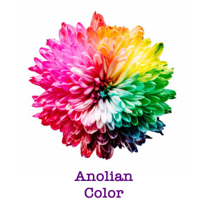 Listen to Color song with lyrics from Anolian