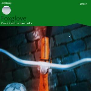 ดาวน์โหลดและฟังเพลง Take Me Over พร้อมเนื้อเพลงจาก Foxglove
