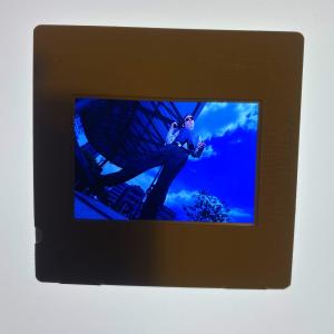 收聽Olivier Cazier的SPILL歌詞歌曲