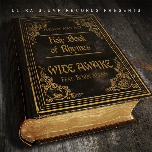 Listen to Wide Awake song with lyrics from Mellow Man Ace