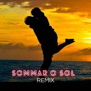 收聽Pappa Kalas的Sommar & Sol (Remix)歌詞歌曲