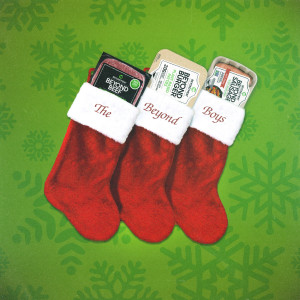 Listen to 12 Days of Christmas song with lyrics from The Beyond Boys