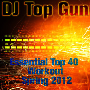 收聽DJ Top Gun的Maroon 5 Feat. Christina Aguilera - Moves Like Jagger (Instrumental Version)歌詞歌曲