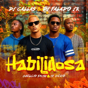 收聽DJ Callas的Habilidosa歌詞歌曲