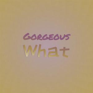 Various Artists的專輯Gorgeous What