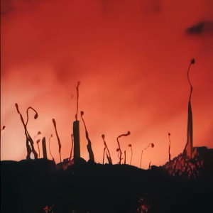 收听Felipe Carbonell的Vigilia歌词歌曲