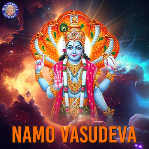 Album Namo Vasudeva from Iwan Fals & Various Artists