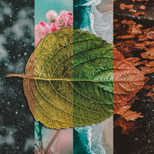 ดาวน์โหลดและฟังเพลง Nature พร้อมเนื้อเพลงจาก Matteo Palumbo