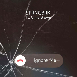 ดาวน์โหลดและฟังเพลง Ignore Me (Explicit) พร้อมเนื้อเพลงจาก SprngBrk