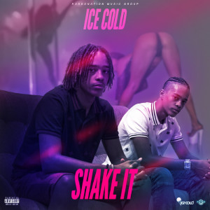 ดาวน์โหลดและฟังเพลง Shake It (Explicit) พร้อมเนื้อเพลงจาก Ice Cold