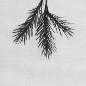 收聽suggi的EVERGREEN歌詞歌曲