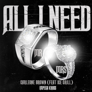 Album All I Need from Impega Kross