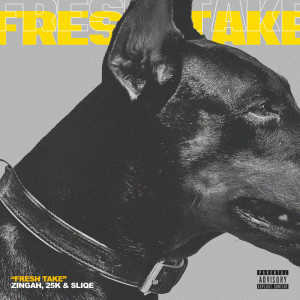 Listen to Fresh Take song with lyrics from Zingah