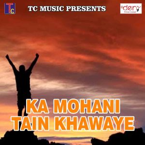 Listen to Tere Bina Mahi song with lyrics from Pran Deep